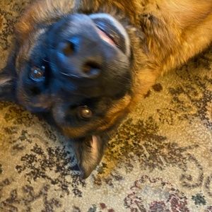 Meet your Posher, Barbara